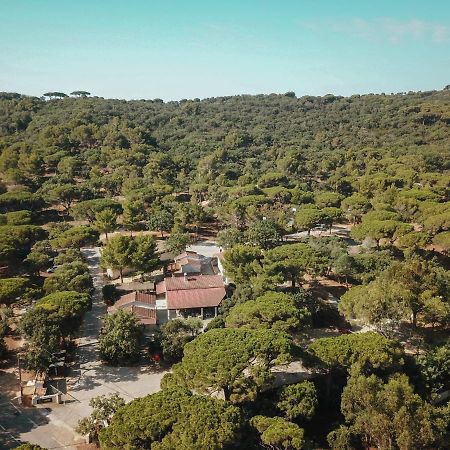 Camping Ladouceur Ramatuelle Kültér fotó