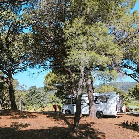 Camping Ladouceur Ramatuelle Kültér fotó