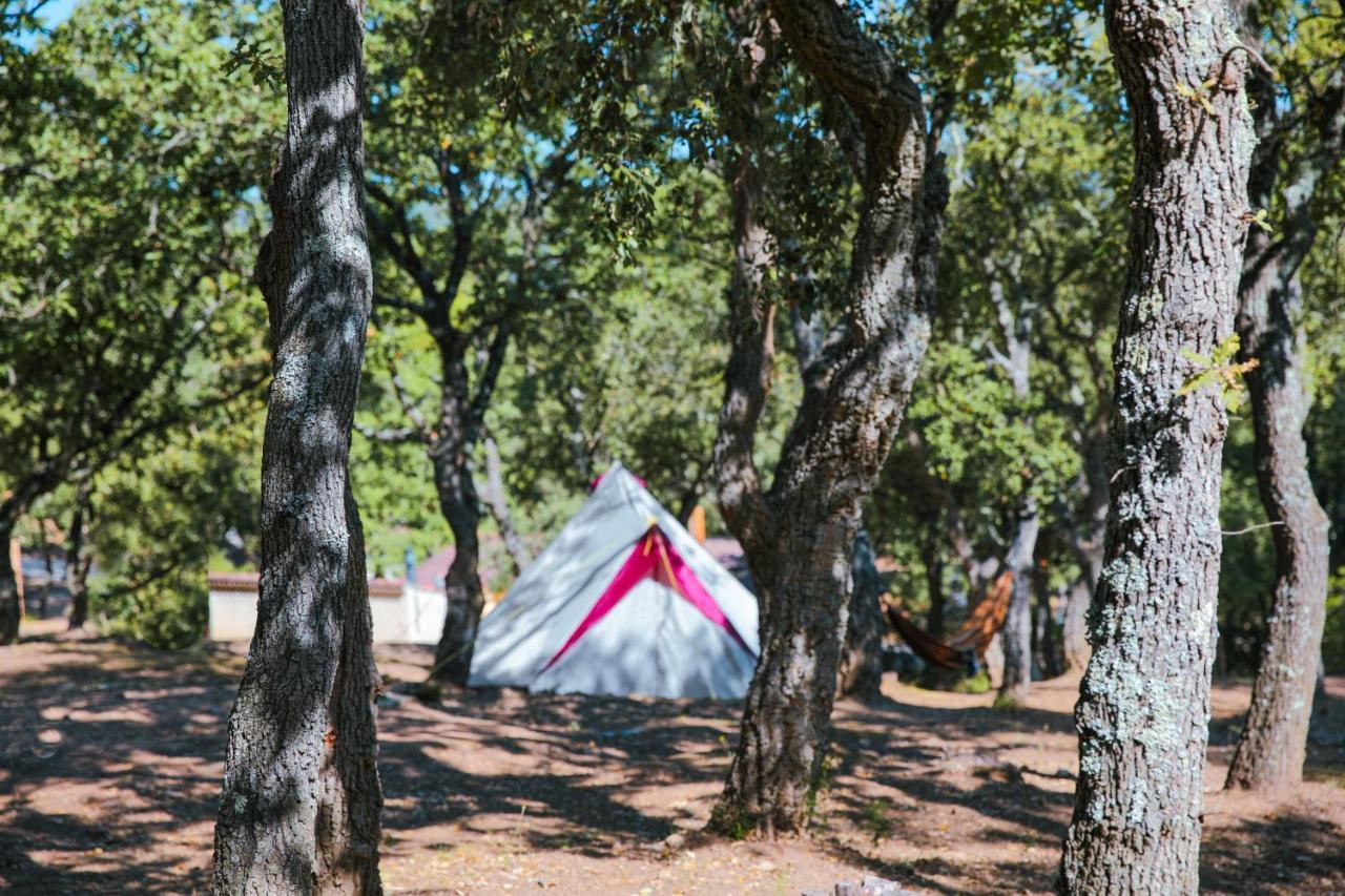 Camping Ladouceur Ramatuelle Kültér fotó