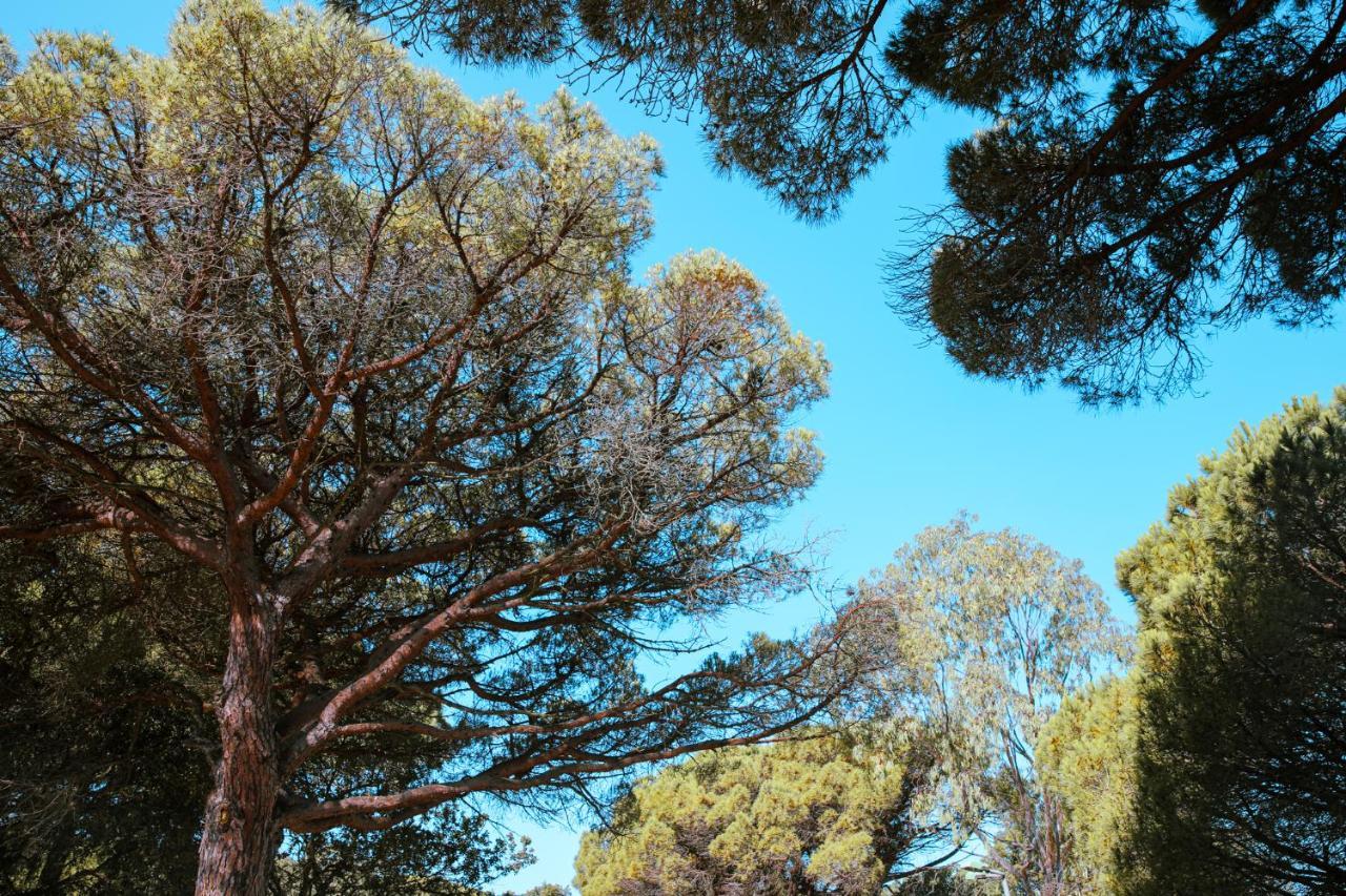 Camping Ladouceur Ramatuelle Kültér fotó