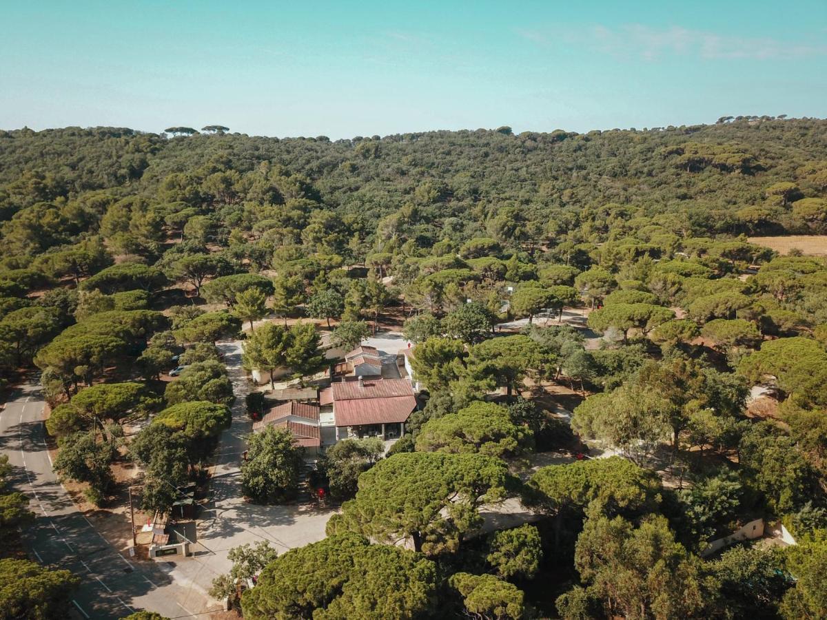 Camping Ladouceur Ramatuelle Kültér fotó