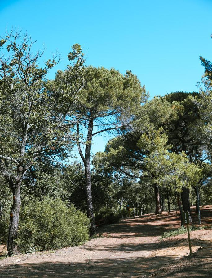Camping Ladouceur Ramatuelle Kültér fotó