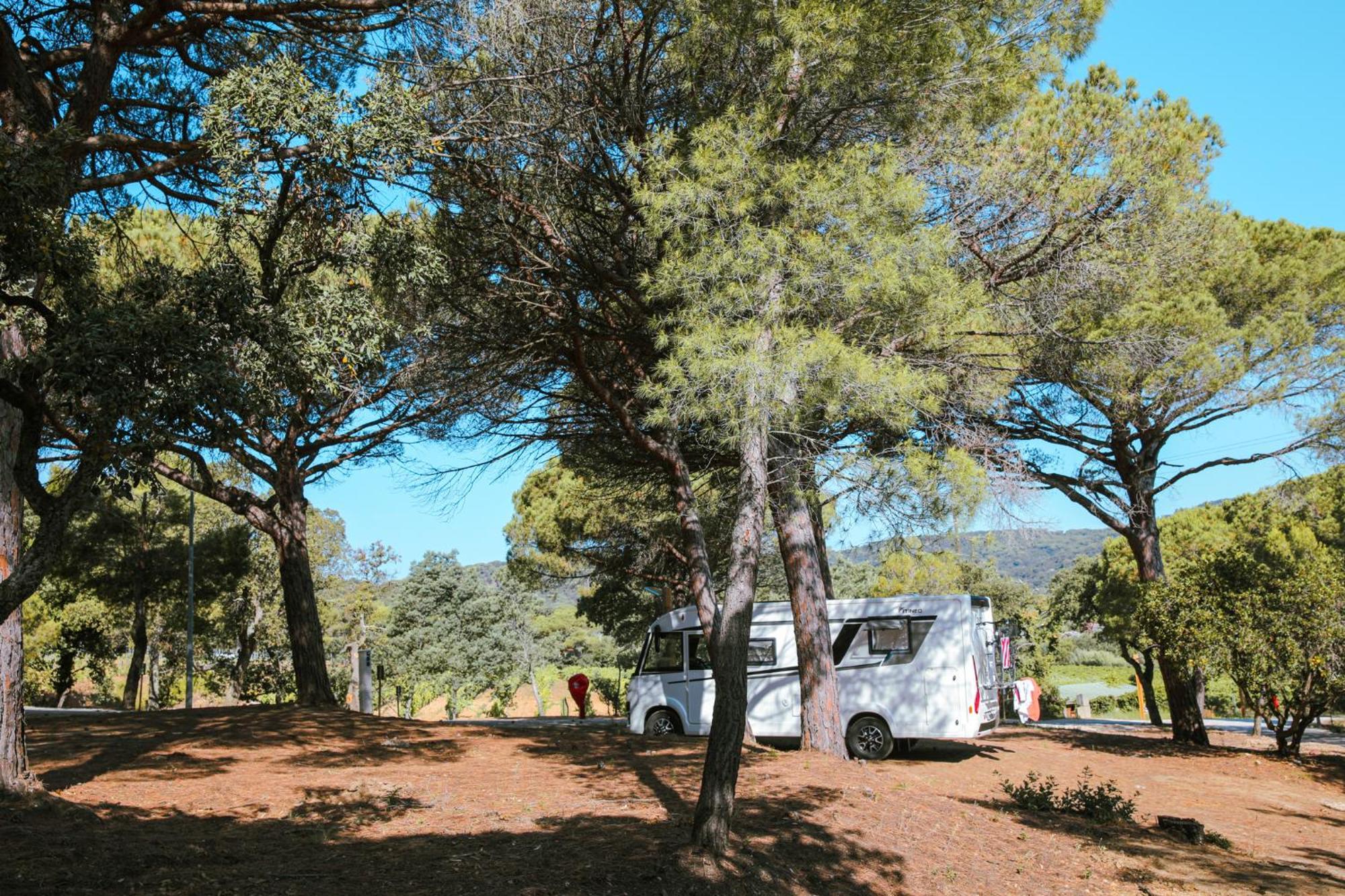 Camping Ladouceur Ramatuelle Kültér fotó