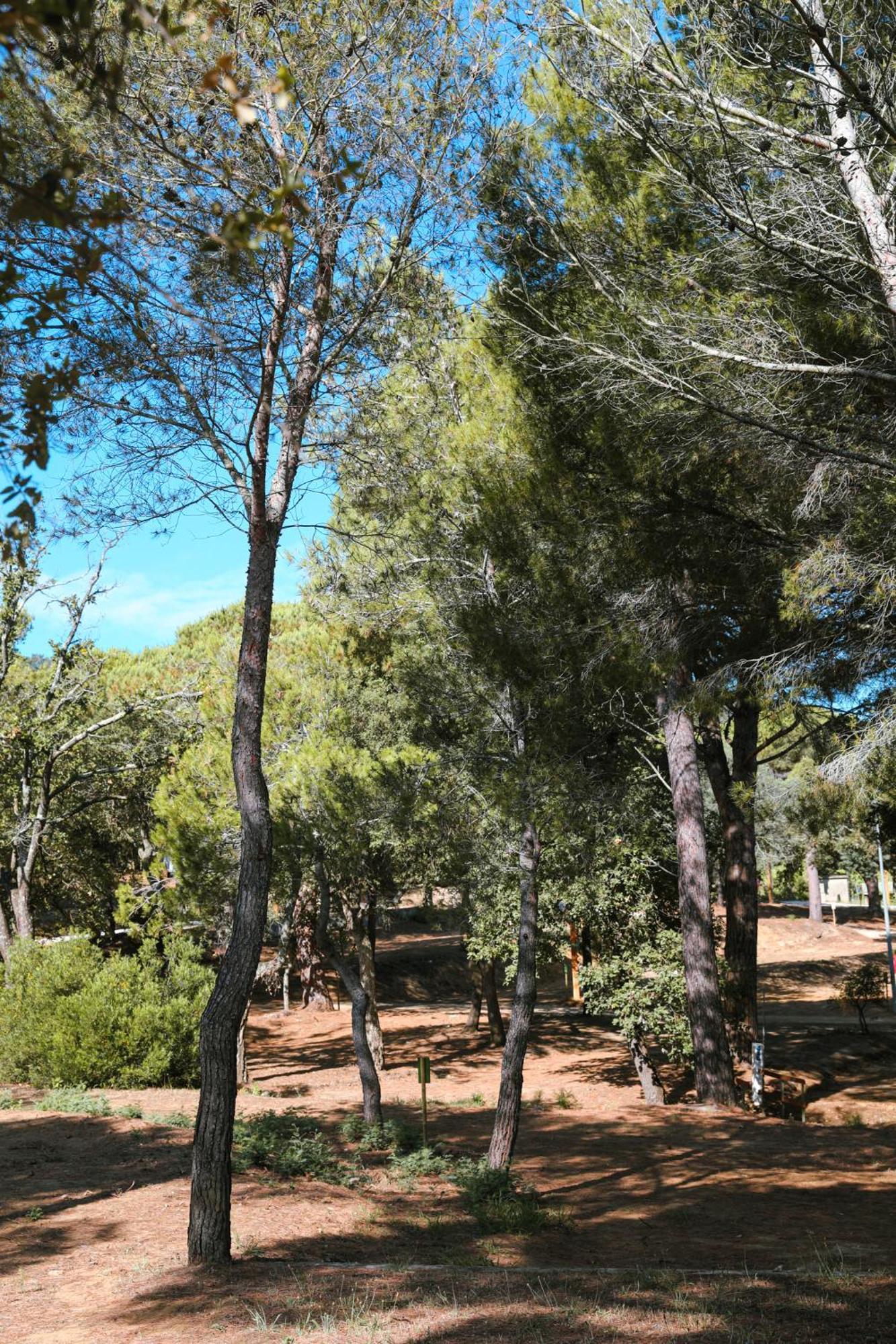 Camping Ladouceur Ramatuelle Kültér fotó